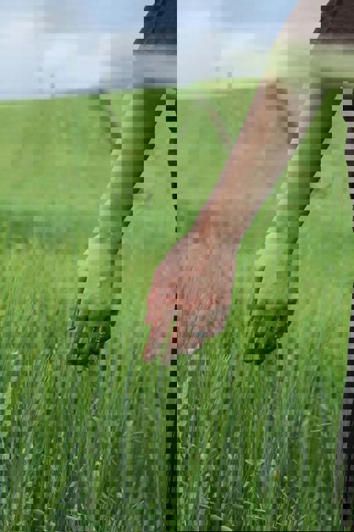 Pexels Esrakorkmaz 16998420